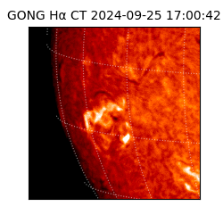 gong - 2024-09-25T17:00:42