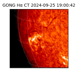 gong - 2024-09-25T19:00:42