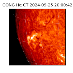 gong - 2024-09-25T20:00:42