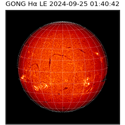 gong - 2024-09-25T01:40:42