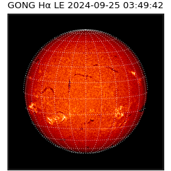 gong - 2024-09-25T03:49:42