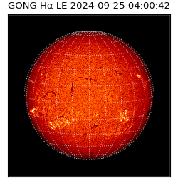 gong - 2024-09-25T04:00:42