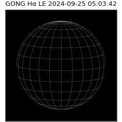 gong - 2024-09-25T05:03:42