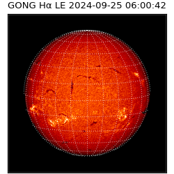 gong - 2024-09-25T06:00:42