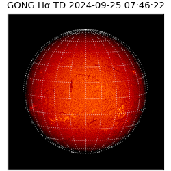 gong - 2024-09-25T07:46:22