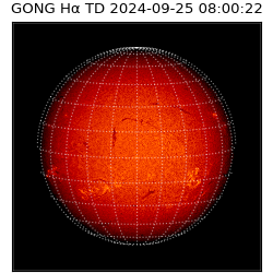 gong - 2024-09-25T08:00:22