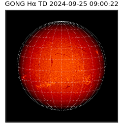 gong - 2024-09-25T09:00:22