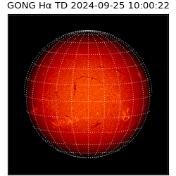 gong - 2024-09-25T10:00:22