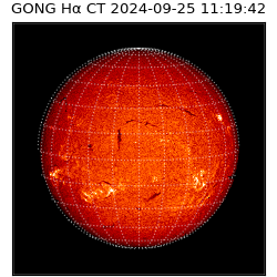 gong - 2024-09-25T11:19:42