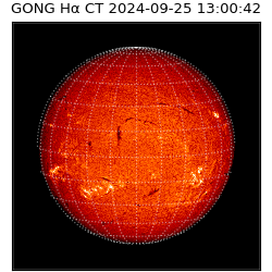gong - 2024-09-25T13:00:42