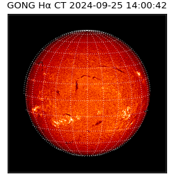 gong - 2024-09-25T14:00:42