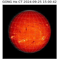 gong - 2024-09-25T15:00:42
