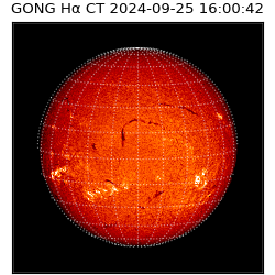 gong - 2024-09-25T16:00:42