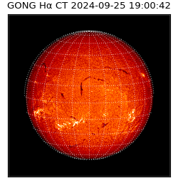 gong - 2024-09-25T19:00:42