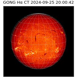 gong - 2024-09-25T20:00:42