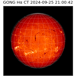 gong - 2024-09-25T21:00:42