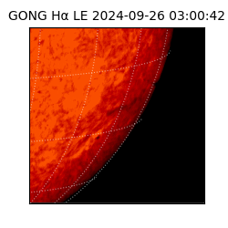 gong - 2024-09-26T03:00:42