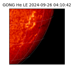 gong - 2024-09-26T04:10:42