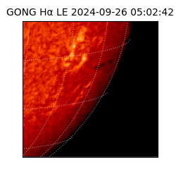 gong - 2024-09-26T05:02:42