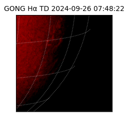 gong - 2024-09-26T07:48:22