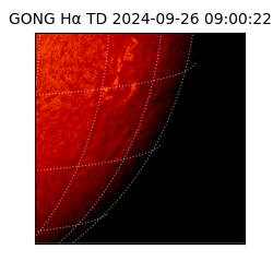 gong - 2024-09-26T09:00:22