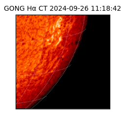 gong - 2024-09-26T11:18:42