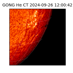 gong - 2024-09-26T12:00:42
