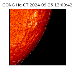 gong - 2024-09-26T13:00:42