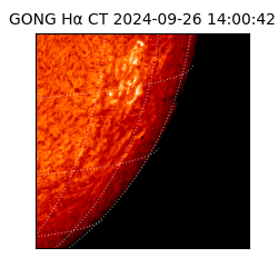 gong - 2024-09-26T14:00:42