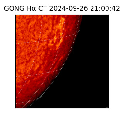 gong - 2024-09-26T21:00:42