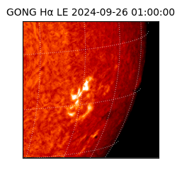 gong - 2024-09-26T01:00:00