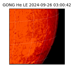 gong - 2024-09-26T03:00:42