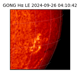 gong - 2024-09-26T04:10:42