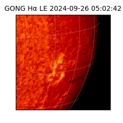 gong - 2024-09-26T05:02:42