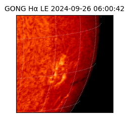 gong - 2024-09-26T06:00:42