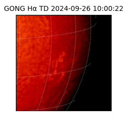 gong - 2024-09-26T10:00:22