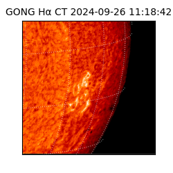 gong - 2024-09-26T11:18:42