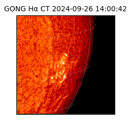 gong - 2024-09-26T14:00:42