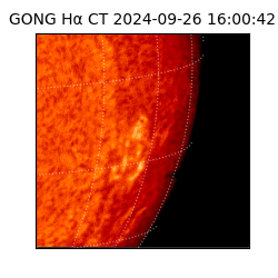 gong - 2024-09-26T16:00:42