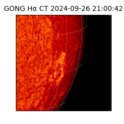 gong - 2024-09-26T21:00:42