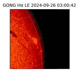 gong - 2024-09-26T03:00:42