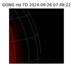 gong - 2024-09-26T07:48:22