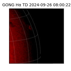 gong - 2024-09-26T08:00:22