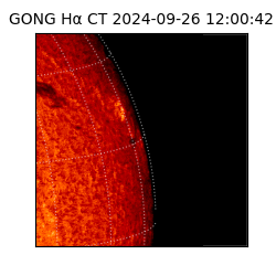 gong - 2024-09-26T12:00:42