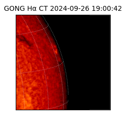 gong - 2024-09-26T19:00:42