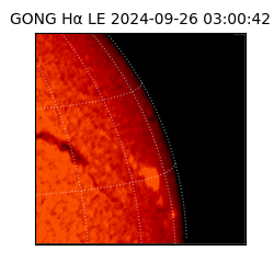 gong - 2024-09-26T03:00:42