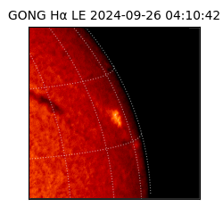 gong - 2024-09-26T04:10:42