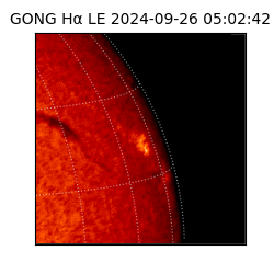 gong - 2024-09-26T05:02:42