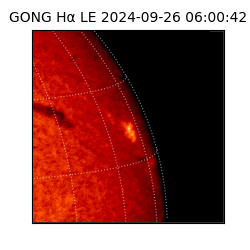 gong - 2024-09-26T06:00:42