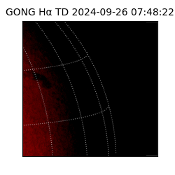 gong - 2024-09-26T07:48:22